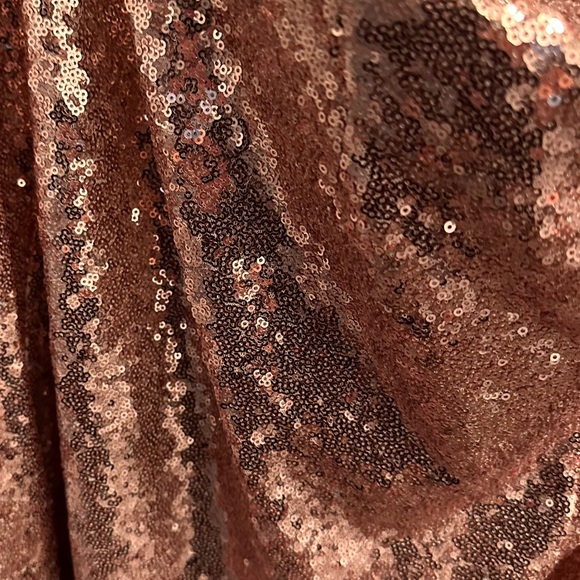 Rose gold sequin pants, torrid size 3X - Picture 4 of 4